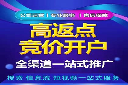 百度竞价广告投放案例：关键词优化与转化率提升